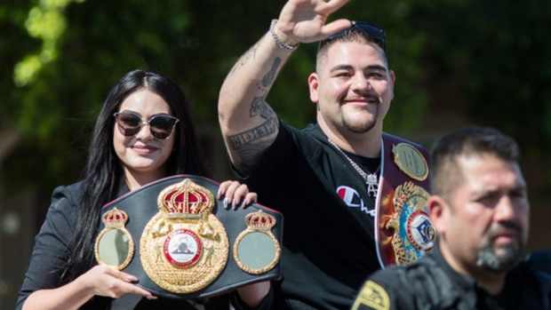 andy ruiz y julie lemur